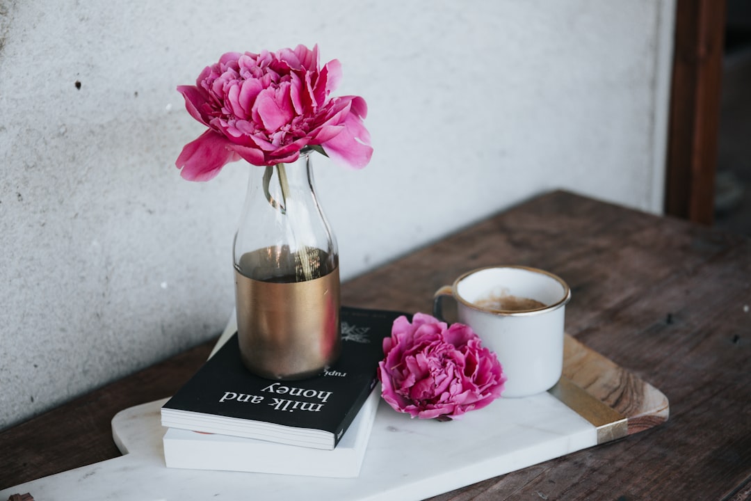 Photo Books, Book club